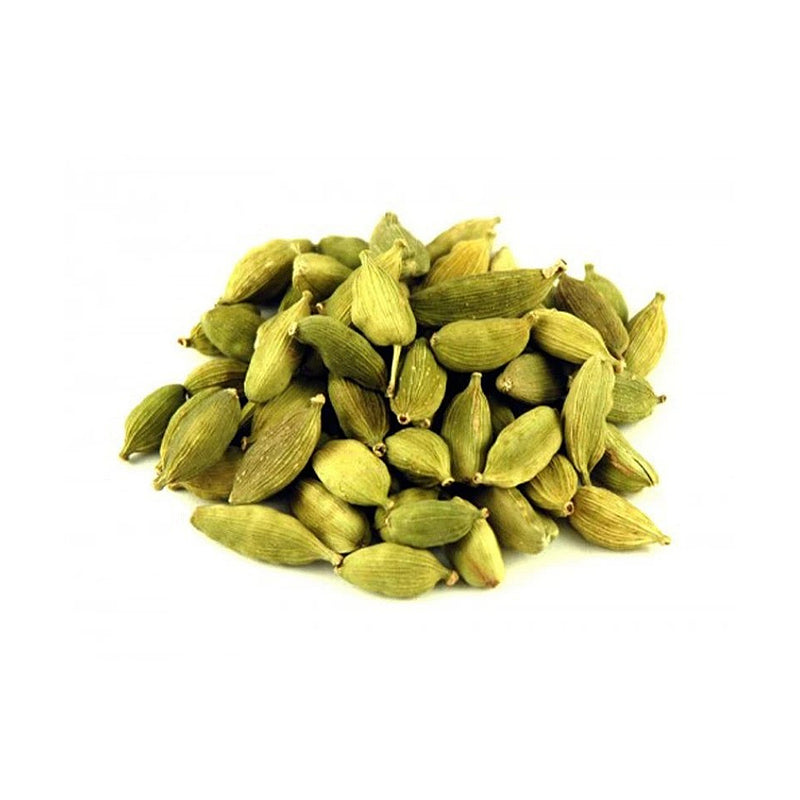 Chase Elachi Small 50g