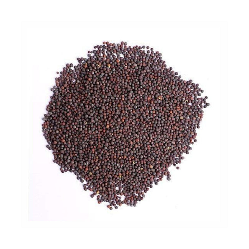 Chase Rai Dana 100g