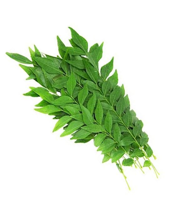 Curry Leaf
