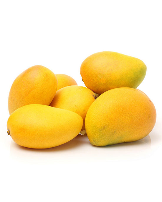 Mango - Dussehri