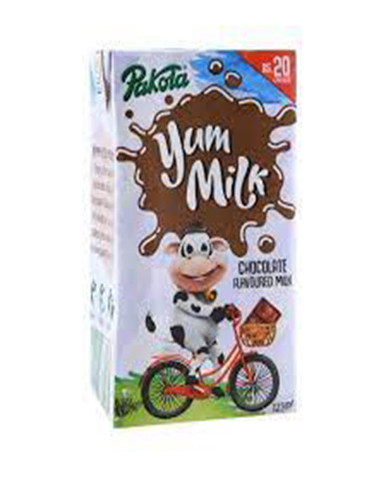 Pakola Yum Chocolate Milk 125ml